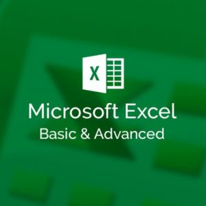 MS  Excel 2016- Basic to Advanced 